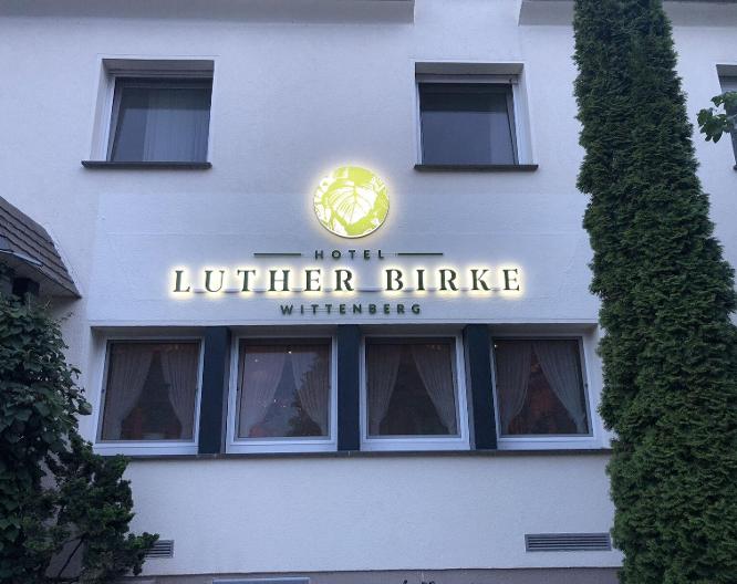 Luther Birke Wittenberg - Außenansicht