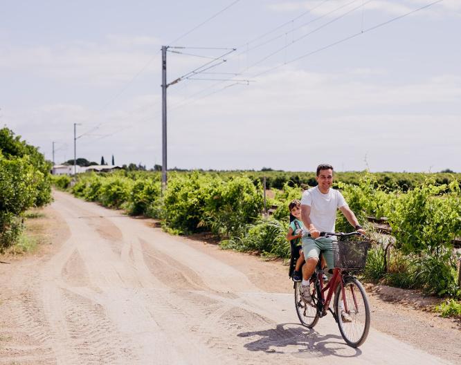 Quinta dos Perfumes - Landschaft