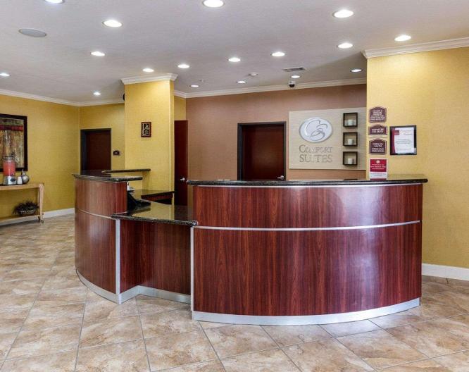 Comfort Suites Pearland-South Houston - Ausstattung