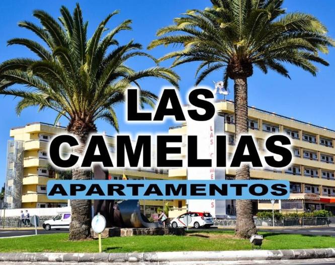 Las Camelias - Außenansicht