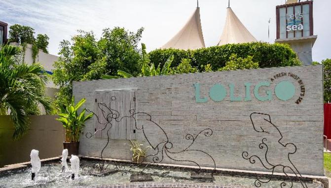 Loligo Resort