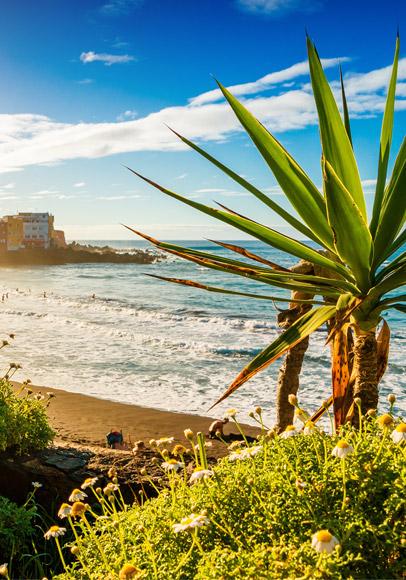 Kanaren Angebote - Eurowings Holiday