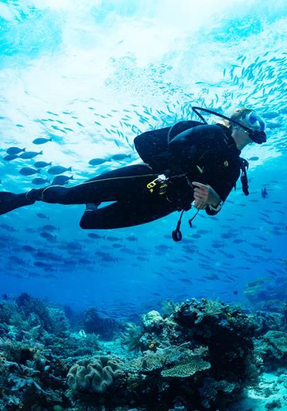 Réservez vos vacances dans hôtels pour la plongée à Hurghada !