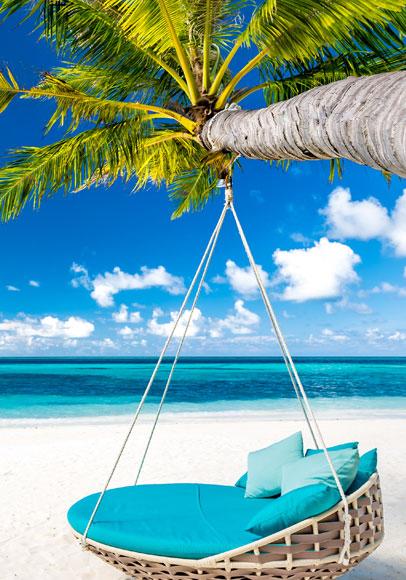 Alle Reiseziele weltweit ab Bremen Last Minute - Palme am Strand im Bild