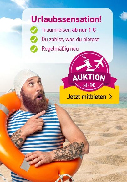 Zu den ltur Auktionen
