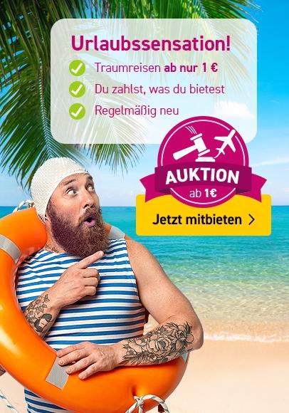 Zu den ltur Auktionen